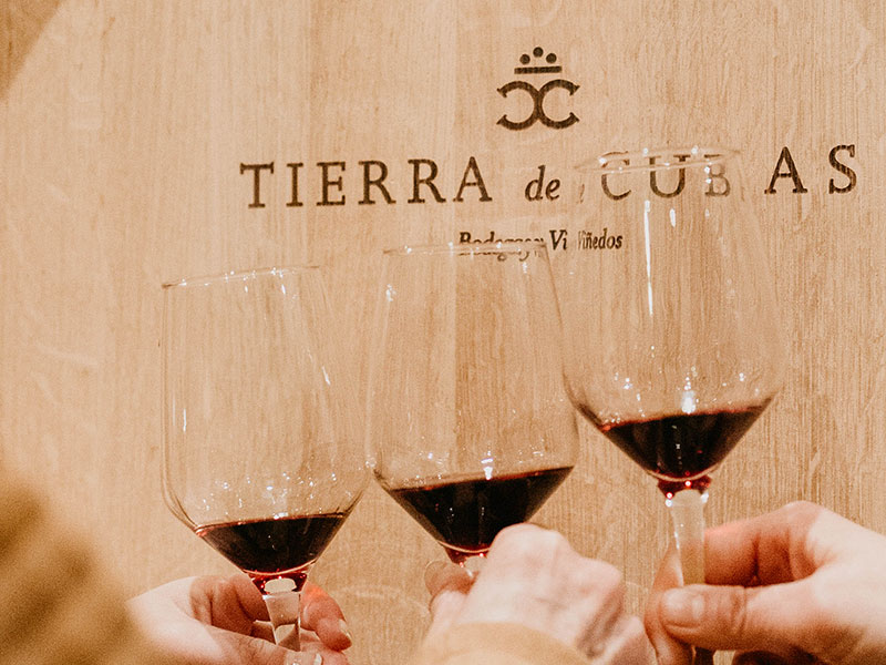 tierra-de-cubas (2)