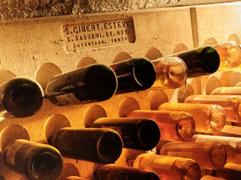 ¿Crianza o reserva? Diferencias y clasificación del vino por su envejecimiento