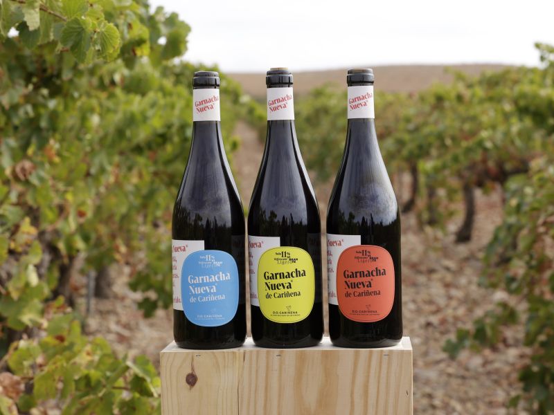 Guía de las etiquetas de vino: normativa, información y medidas